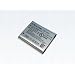 Ricoh DB-100 Lithium-Ionen-Akku