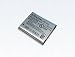 Ricoh DB-100 Lithium-Ionen-Akku :: 