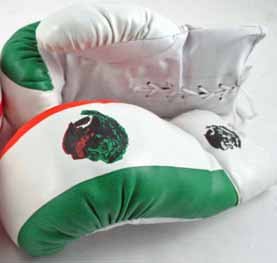 1 Pair of Youth Mexico 4oz Boxing Gloves Great for Kids