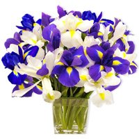 Flowers - Ocean View