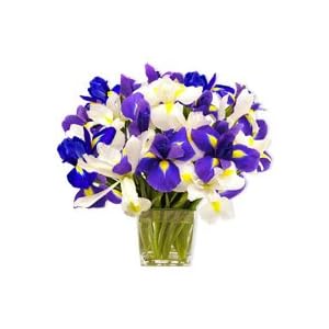 Flowers - Ocean View (Easter Offer: Free Shipping)