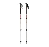 Black Diamond Trail Shock Compact - Discontinued