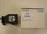 Panasonic PT60LC14 Lamp with Housing TY-LA1000
