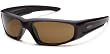 Smith Optics Elite Hudson Tactical Sunglass with Polarized Brown Lens, Black