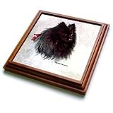 Dogs Pomeranian - Black Pomeranian - Trivets