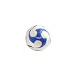 Brine Triumph 20-600 Match Ball Package