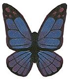 Butterfly Wings Black & Purple