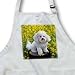 Bichon Frise - Full Length Apron With Pockets 22w X 30l