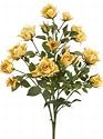 Allstate FBR839-YE 21 in. Suzi ft.s Rose Bush Yellow- Case of 12