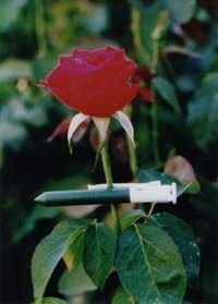 Deer Repellent: Plant Protec - 25 Pack