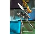 Review Ricci Flatware  / Ricci Argentieri Anvil Carving Set 2-pc.