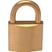 Fire Blanket Cabinet Padlock (for M2FBCBR)