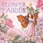 Flower Fairies 2008 Mini Wall Calendar