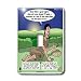 Rich Diesslin The Cartoon Old Testament - Genesis 28 10 17 Jacobs Pillow Bible matress pillow jacobs ladder dream - Light Switch Covers - single toggle switch