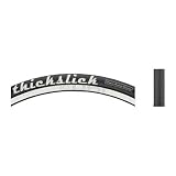 Freedom Elite Folding ThickSlick 700 x 25c Tire
