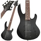 ESP LTD B55 5 String Electric Bass Guitar ( Black ) - B000KN2FUK