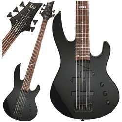 ESP LTD B55 5 String Electric Bass Guitar (Black)