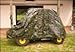 25 Pack Dry Top 8X10CAMO Heavy Duty All Purpose Green Camouflage Tarp 8' x 10' 5 Mil (408102)