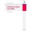 Clusteranalyse mit SPSS: Mit Faktorenanalyse