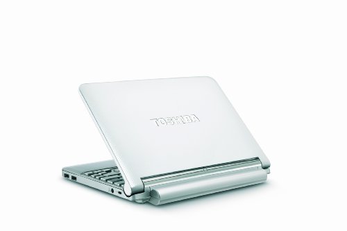 Toshiba Mini NB205-N311/W 10.1-Inch Frost Price
