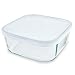 Bormioli Frigoverre Small Square Storage Container with Lid