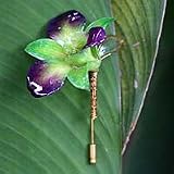 Natural orchid gold plated stickpin, 'Orchid Dreams'