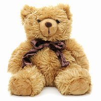 Toasty Honey Bear