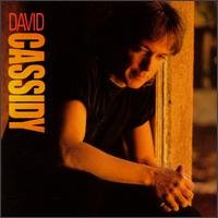 DAVID CASSIDY - Living without you Lyrics - Zortam Music