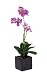 Artificial 17" Mini Phalaenopsis Orchid, Lavender