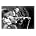 Wes Montgomery