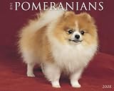Just Pomeranians 2008 Calendar - Dog Breed 2008 Calendars