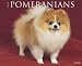   - Just Pomeranians 2008 Calendar - Dog Breed 2008 Calendars