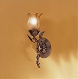 Outdoor Wall Sconce 1Lt Incand - Tannery Bronze - Amber Tea Dust
