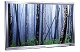 PD-5050 50 Inch HD Ready Plasma Monitor