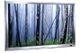 PD5050 50 Inch HD Ready Plasma Monitor
