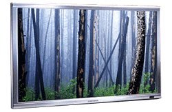 PD-5050 50 Inch HD Ready Plasma Monitor