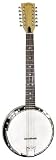 31Qj nhYtmL. SL160  Gold Tone GT 1200 Banjitar 12 String Banjo