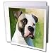 Dogs Bulldog - American Bulldog - Greeting Cards-12 Greeting Cards with envelopes