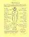 Parchment Posters: Chakras