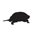 Snapping Turtle Water Creatures Car Truck Vehicle Bumper Helmet Decal Sticker Wall Art Laptop Design Skin Stickers