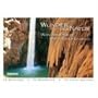 Wunder der Natur Postkarten-Buch