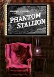 Phantom Stallion