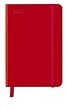 Cool Diary Red/Argyle Rose klein 2011