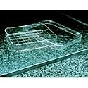 Square Petri Dishes with Grid Disposable Sterile Polystyrene