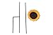 BENBA Brand Wild Bird Feeder and bird bath for Garden decorative feeders
