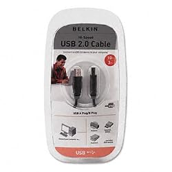 Belkin USB Cable (F3U133V-10) (F3U133V-10)
