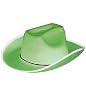 Green Cowboy or Cowgirl Cow Boy Felt Costume Party Hat