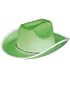 Green Cowboy or Cowgirl Cow Boy Felt Costume Party Hat