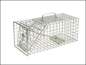 The Big Cheese - Squirrel Cage Trap