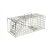The Big Cheese - Squirrel Cage Trap